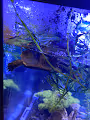 nature Collection #152587222