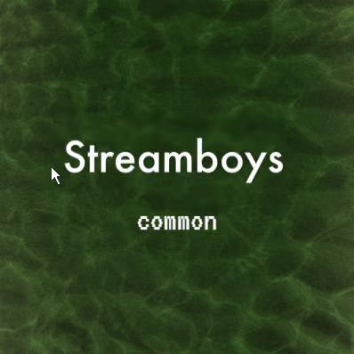 Streamboys