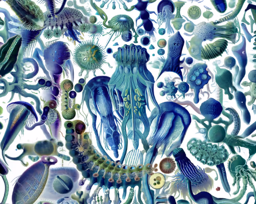 Intertidal Samples by Entangled Others