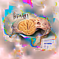 Brain AI