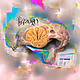 Brain AI