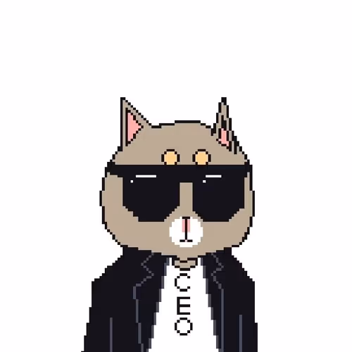 foundarltion gurasan cat