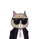 foundarltion gurasan cat