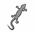 etherlizard official