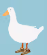 Ducks Through the universe