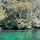 Gems of Aotearoa