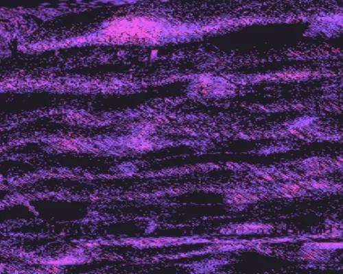 3 THE WEB3 GUY floor 0