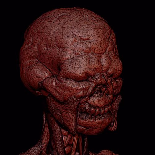 KOMARA I Signed Vinyl Edition