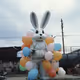 Easter Robot Bunny