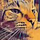 Indoor Tiger, aka a Cat for the Ages
