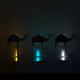 Caravan Crypto Camels - old