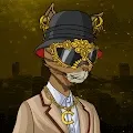 CarelessCatDoCare