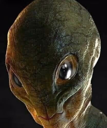 Zarniwoop Collection