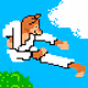 Pixel Doodle Fighter