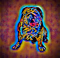 PigDogLucky