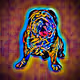PigDogLucky