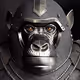 Ape Fight Club AFC