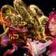 Virtual Animals V2