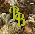 Buzz Bud THC (Tokin' Herb Club) 3D Series