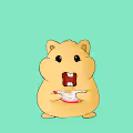 Hamsters eat