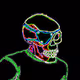 Digitized Bones