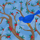 Bluebird Travel