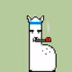 alpaca judy - old