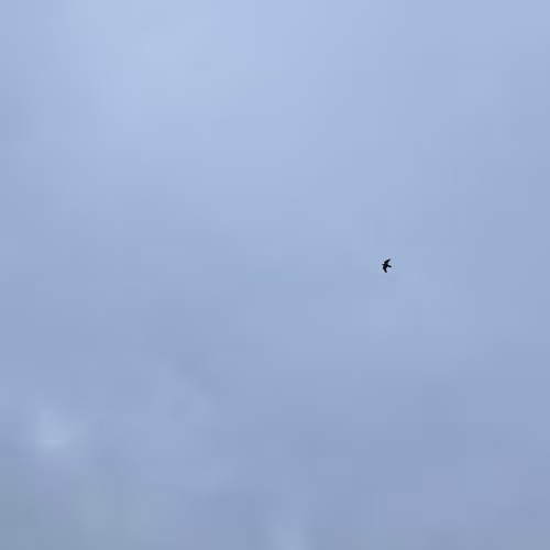 The Sky Over Berlin #4e5c64