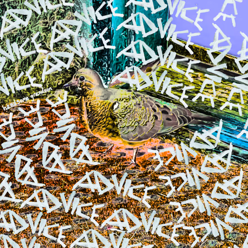 advice a present material