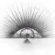 transparent gifs