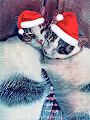 Christmas Collection w/gozde