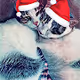 Christmas Collection w/gozde