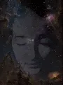 Meta Reality V2