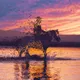 Ghostly Silhouettes