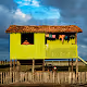 Amazon Facades - Luiz Braga