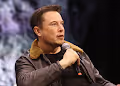 Elon Musk Art NFT