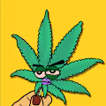 Angry Buds
