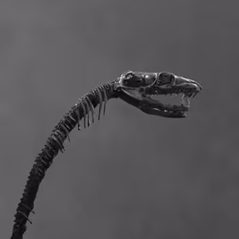 Gorgon Sisters - Andromeda of Aethiopia by Yatreda