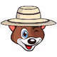 Dogechoco International