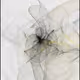 Multifaceted by Gin