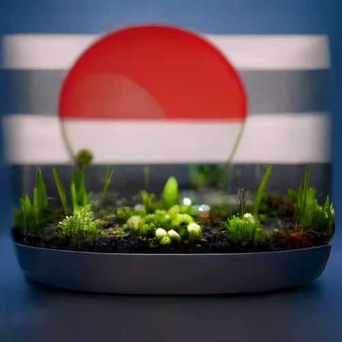 Tiny Japan
