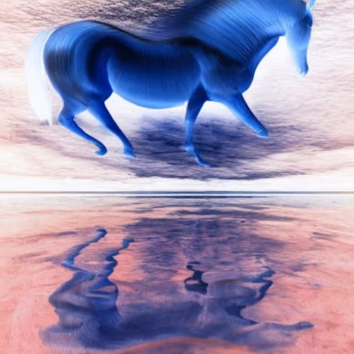 Collages Photos, Images, et IA