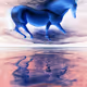 Collages Photos, Images, et IA
