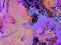 DigiPours