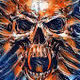 Skull Collection.