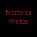 Norton's Photos