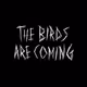 The BirdHouse: Early Birds