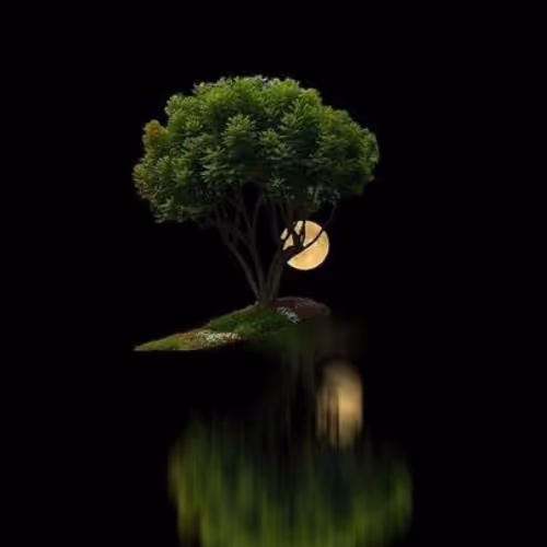 Universal Tradition Ltd