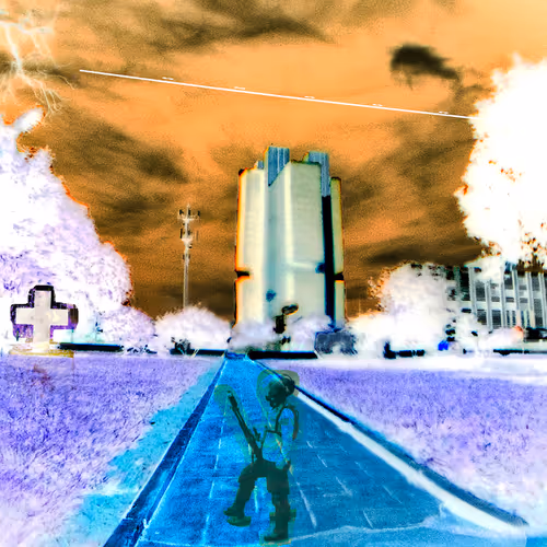 Brasilia in the eye of a fish