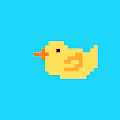 Cute Ducky